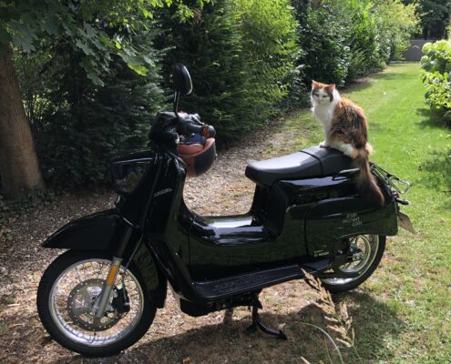 Fahrzeugbeschriftung Dienstwagen